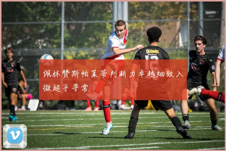 佩林赞斯帕莱蒂判断力卓越细致入微超乎寻常