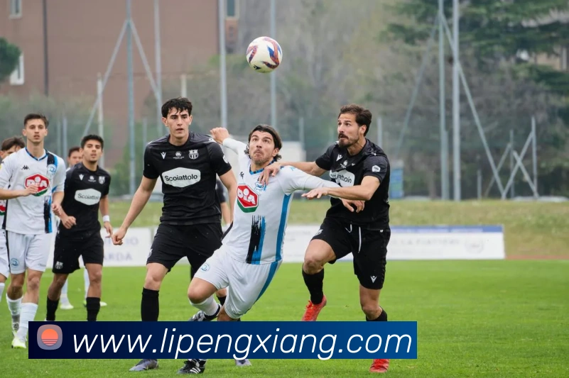 App Interface Preview