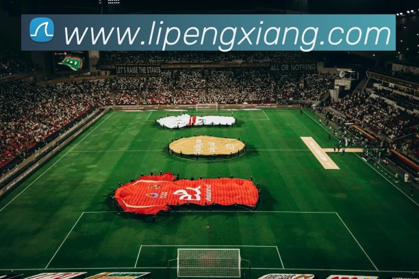 开云体育APP 封面图