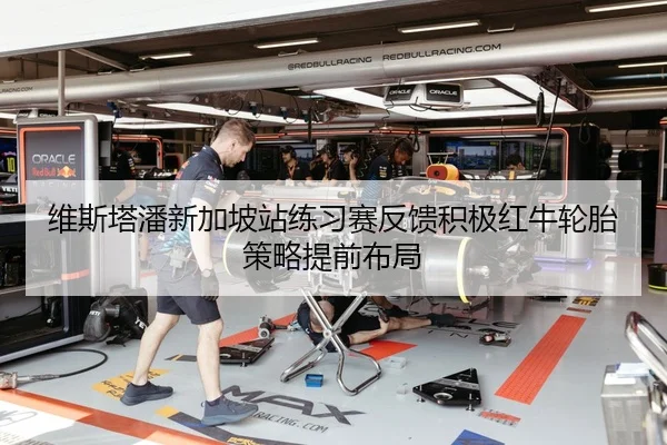 维斯塔潘新加坡站练习赛反馈积极红牛轮胎策略提前布局